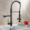 Single Handle Standard Pull Down Kitchen Faucet  Spray in Black